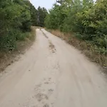 Forest House Balaton