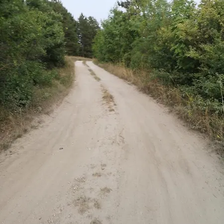 Forest House Balaton