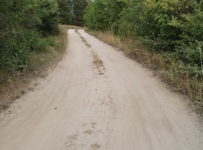 Forest House Balaton