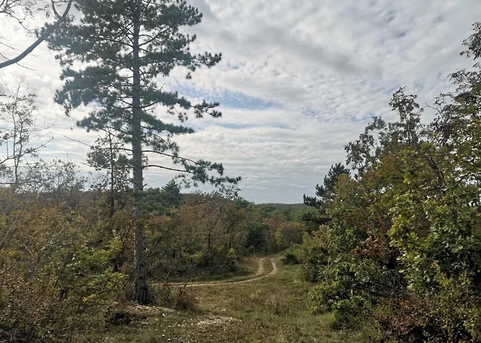 公寓 Forest House Balaton 切尔塞格托毛伊