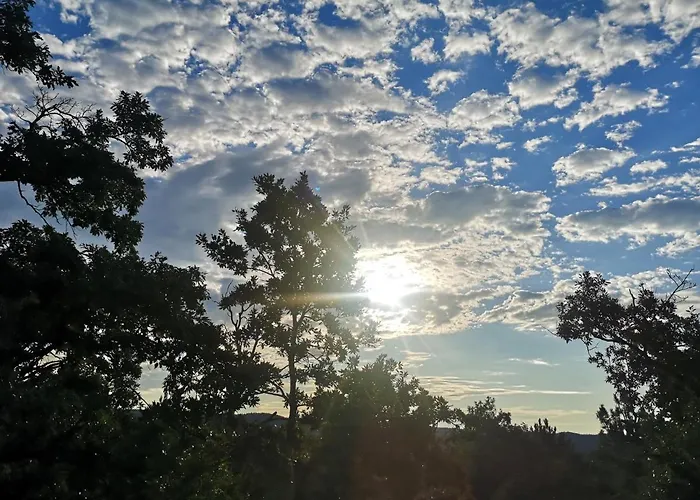 Forest House Balaton דירה *